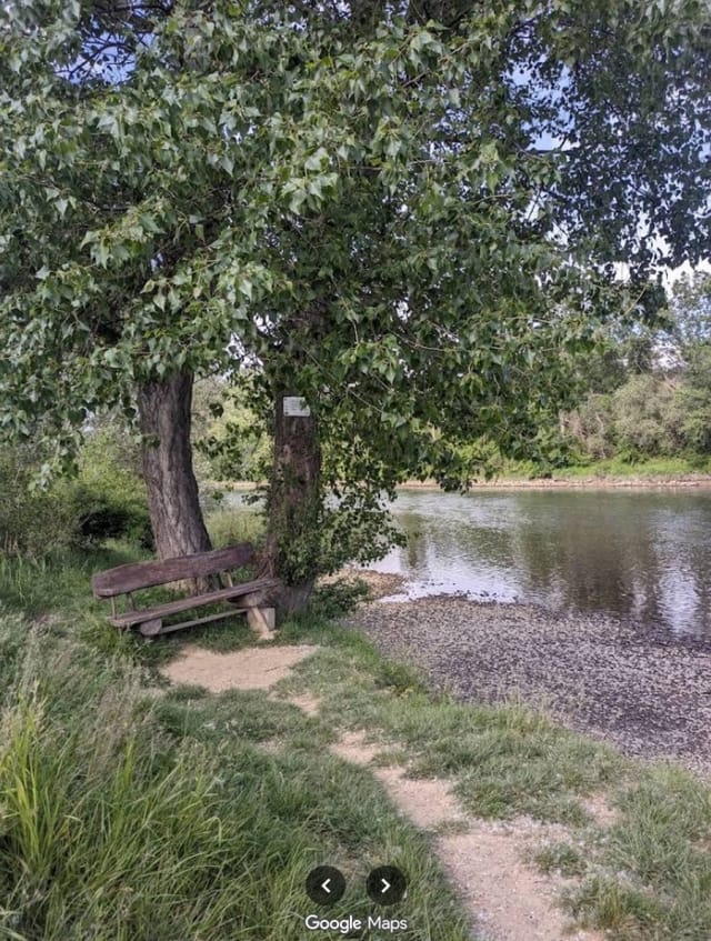 Private lake with islands and beautiful nature