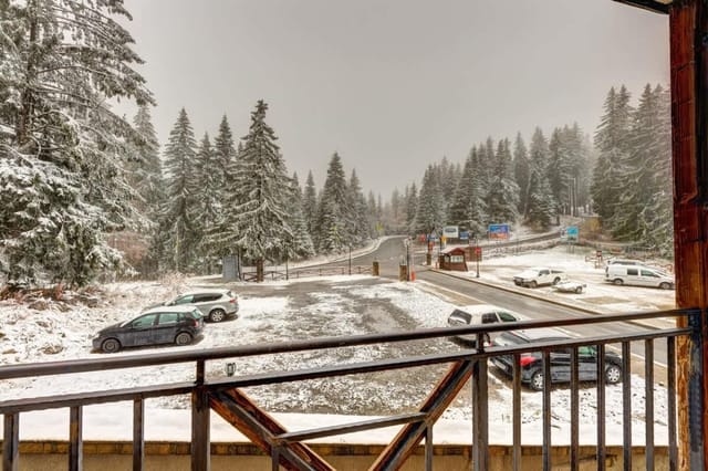 *Cute & Cozy* 1BD Flat in The Castle Complex