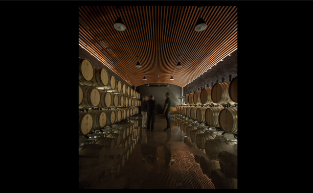 Douro and Porto Winery