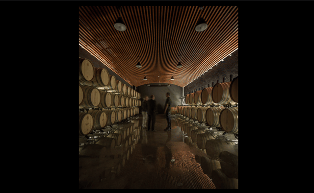 Douro and Porto Winery