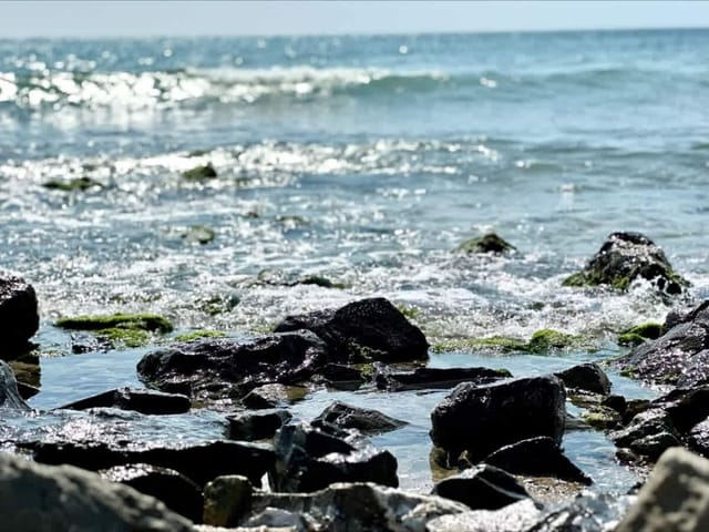 Cozy studio in Ipanema Beach - Photo 2