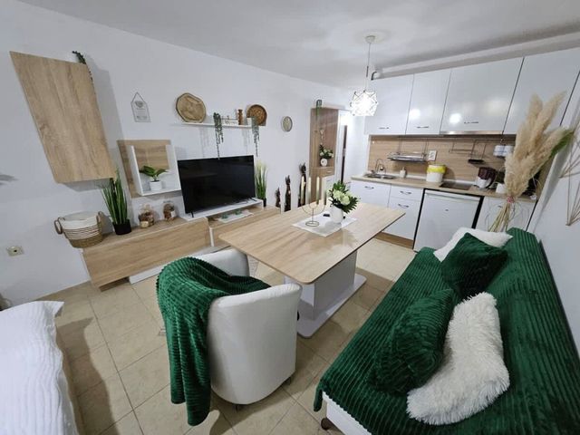 Tropical Chic for Two – Basement Studio  Escape