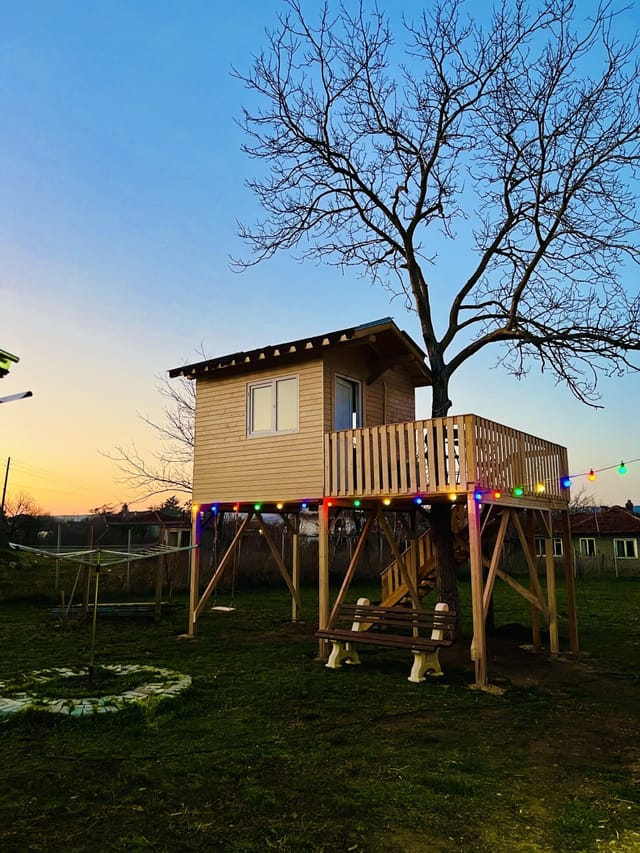 The Happy Caravans - Photo 2