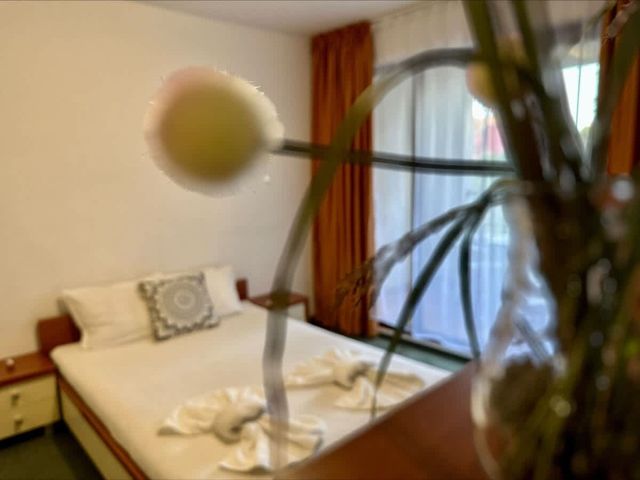 Warm and welcoming apartment in Marina Cape