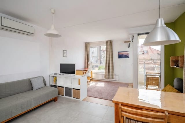 Bright and Cozy 1BD Apartment plus Desk