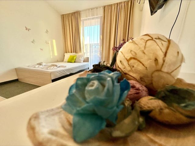 Family studio for 4 person in Marina Cape