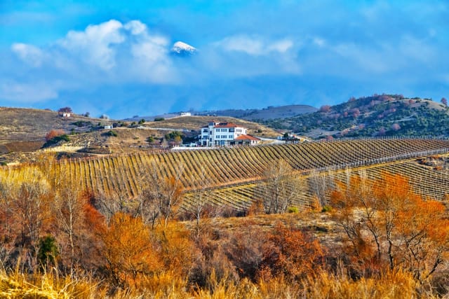 Villa Melnik - Photo 3