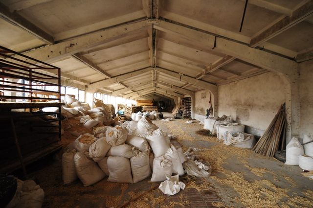 Industrial building - woodworking/carpentry shop, old cow barns - former collective farm from the socialist regime