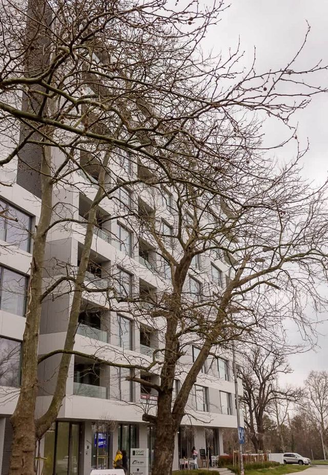 New Black & White Flat 5 Min Away From Sea Garden