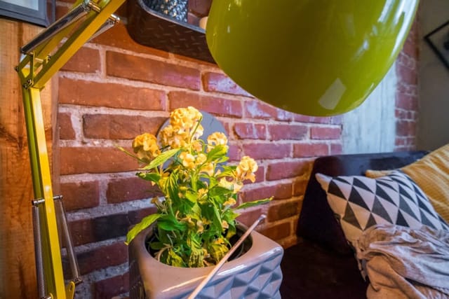 2 BDR & 2 BTHR Funky Apartment / Supreme Location