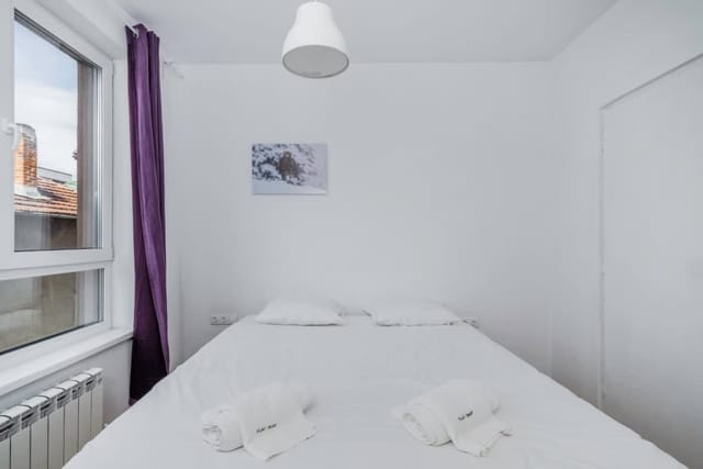 Bright and Cozy 1BD Apartment plus Desk