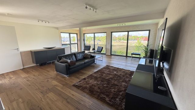 Business and residential in Mannheim