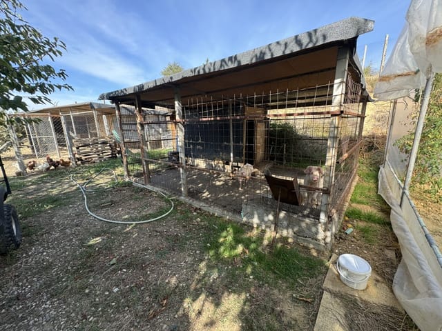 Zornitza Family Estate - Farm