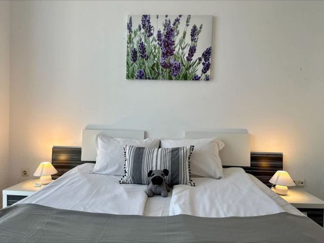 Cozy Rainbow 3  studio pool view