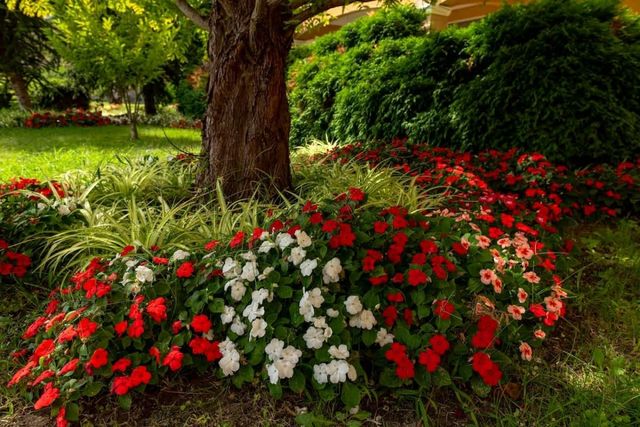 Cozy Aheloy  Superior studio, sea view