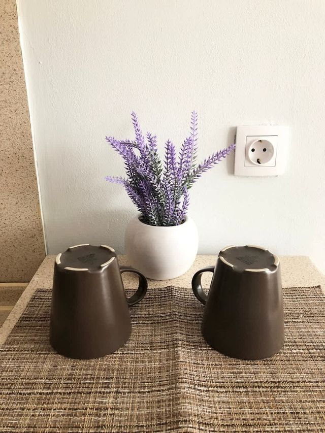 Central Apartment Sunshine