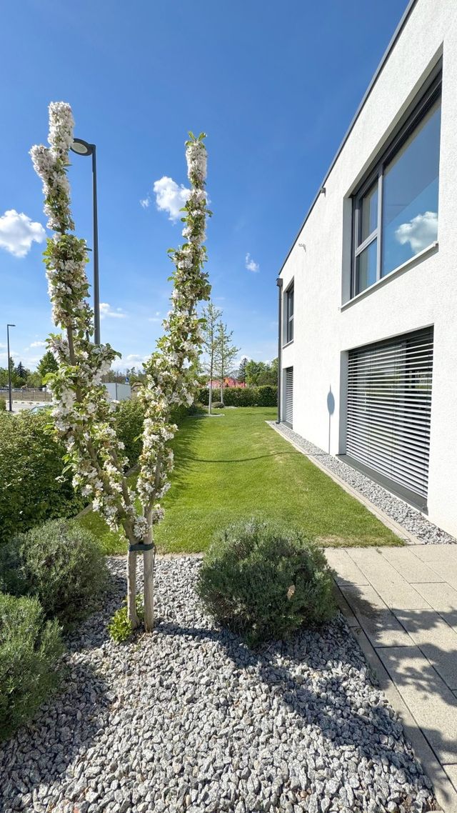 Business and residential in Mannheim