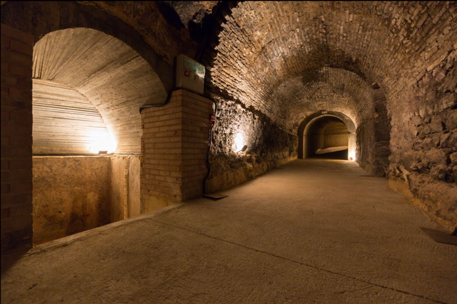 Dominio del Pidio Winery