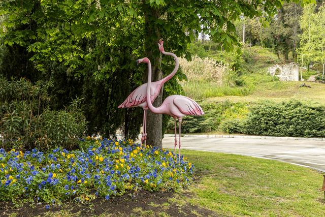 Flamingo Grand Hotel in Albena
