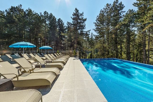 Villa Dea & Villa Ina - Villas & SPA Park in Velingrad