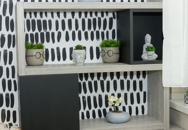 Black & White -1BD Flat in Varna Center