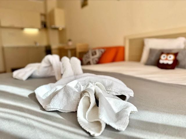 Cozy studio with balcon  Royal Sun