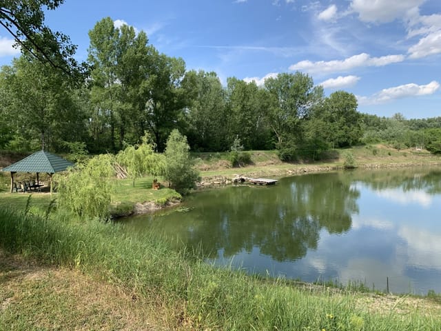 Private lake with islands and beautiful nature - Photo 4