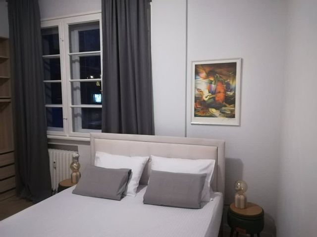 Modern 1BD Apartment next to Vitoshka & NDK