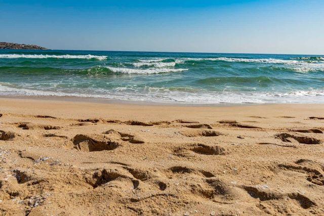 Cozy South Pearl  Comfortable studio for 4 person