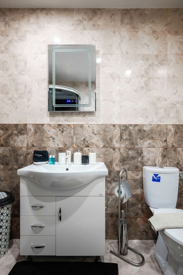 The Cosmopolitan Shine 1-BDR Pet-Friendly Flat