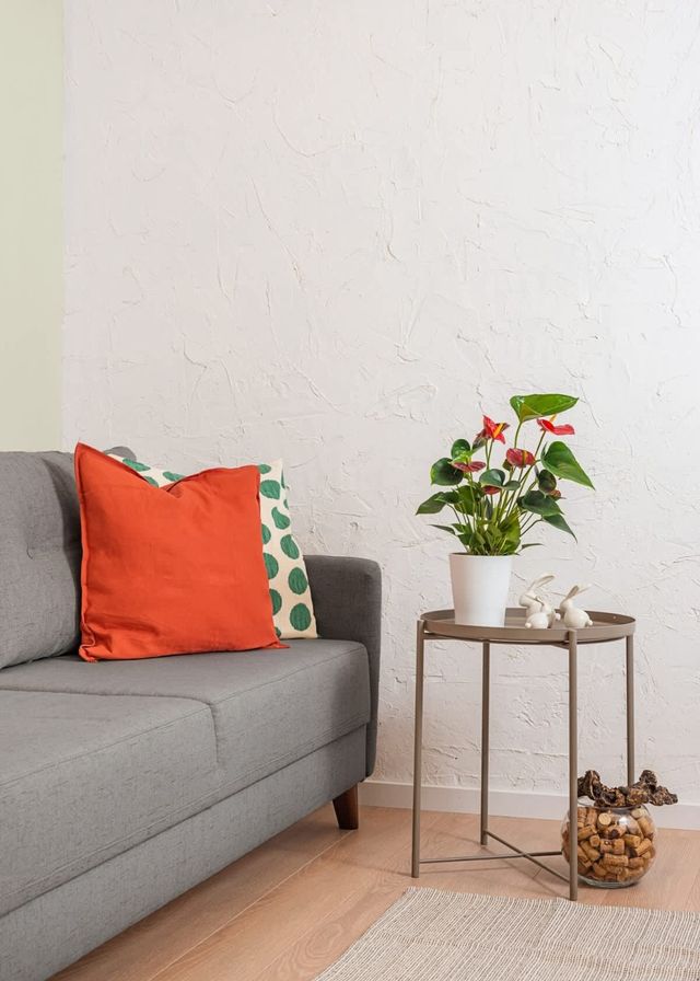 The Grape Escape Studio in Sofia