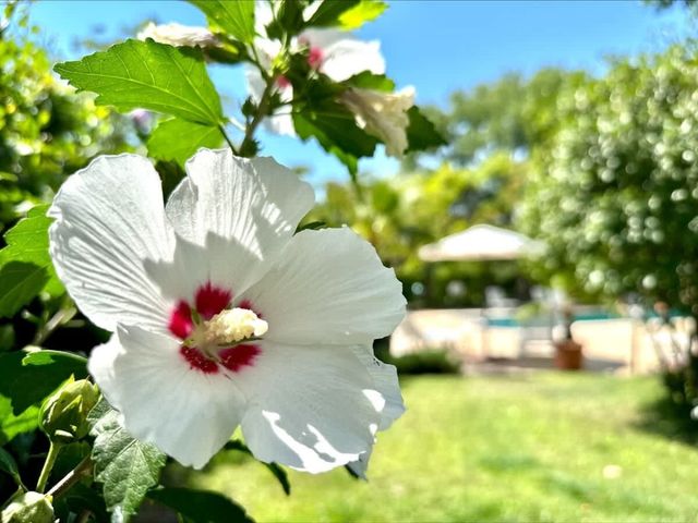 Cozy apartment in Villa Aria