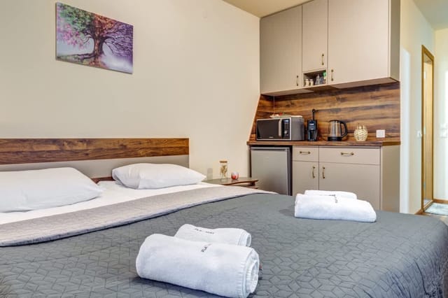 Cozy Studio in Grand Resort Pamporovo