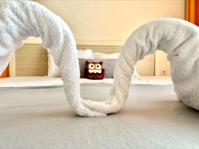 Cozy studio with balcon  Royal Sun