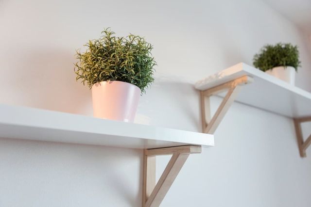 Tony's Sunny Rooftop Studio