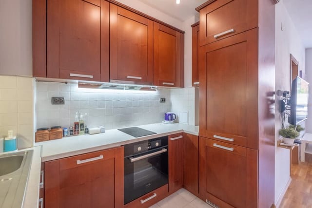 Spacious 1 bedroom apartment in a lively center