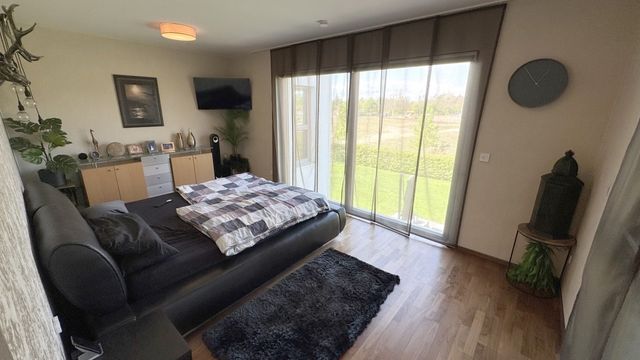 Business and residential in Mannheim