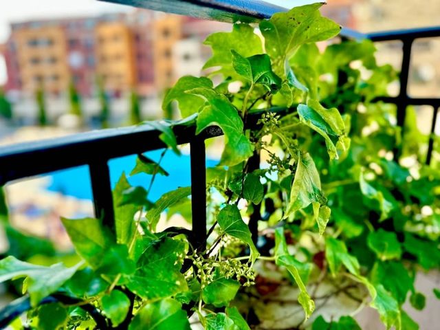 Cozy studio for family in Marina Cape