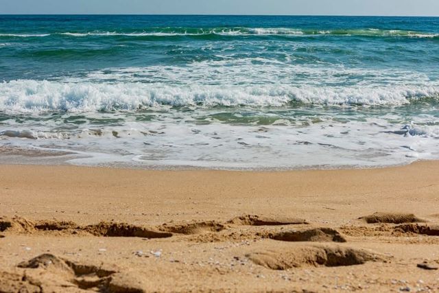 Cozy South Pearl  Comfortable studio for 4 person