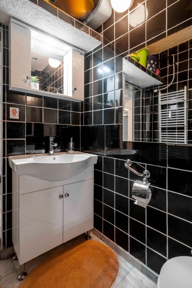 Cozy Apartment near Vitosha Street