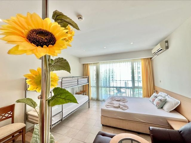 Miramar Palace Family Studio