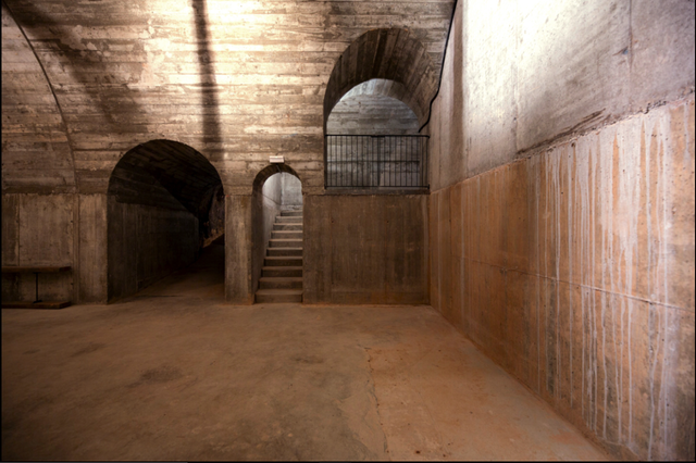 Dominio del Pidio Winery