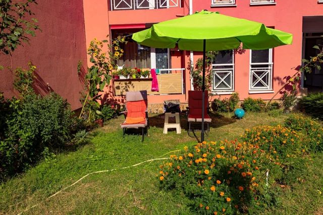 Sunny Day 6 Family Studio