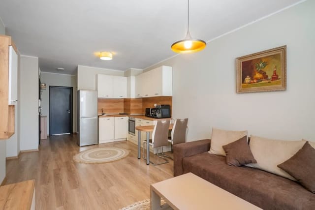 1BD Apartment in Sofia City Center