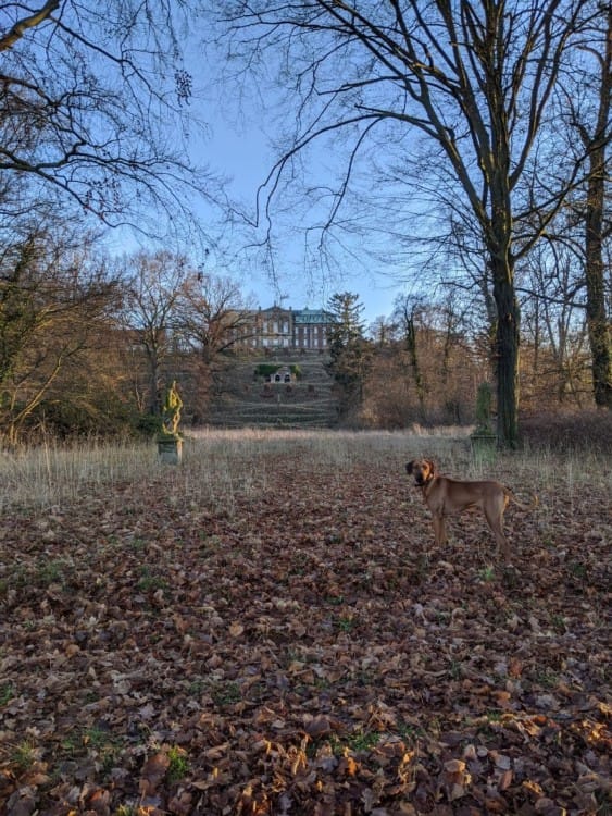 Castle of Burgscheidungen is a combination of baroque and renaissance styles