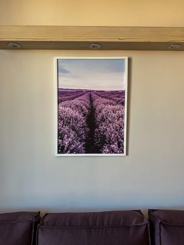 Quiet & Comfortable Urban Retreat