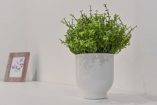 Bright, cosy & modern flat in the TOP centre