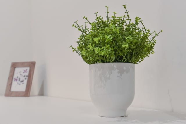 Bright, cosy & modern flat in the TOP centre