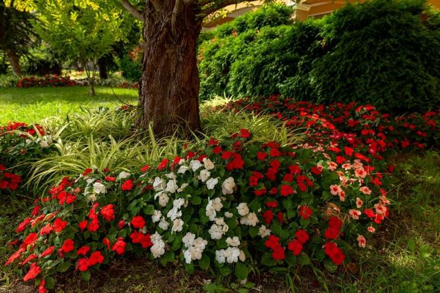 Comfortable studio for 4 guests in Aheloy Palace