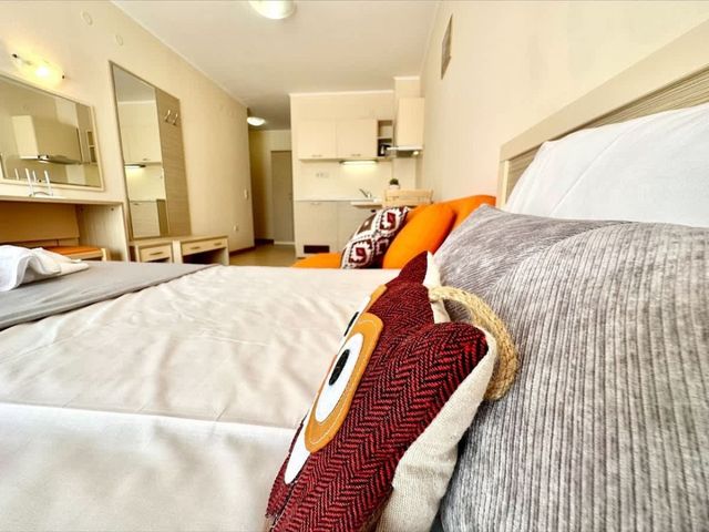 Cozy studio with balcon  Royal Sun